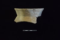 藏品(陶罐)的圖片